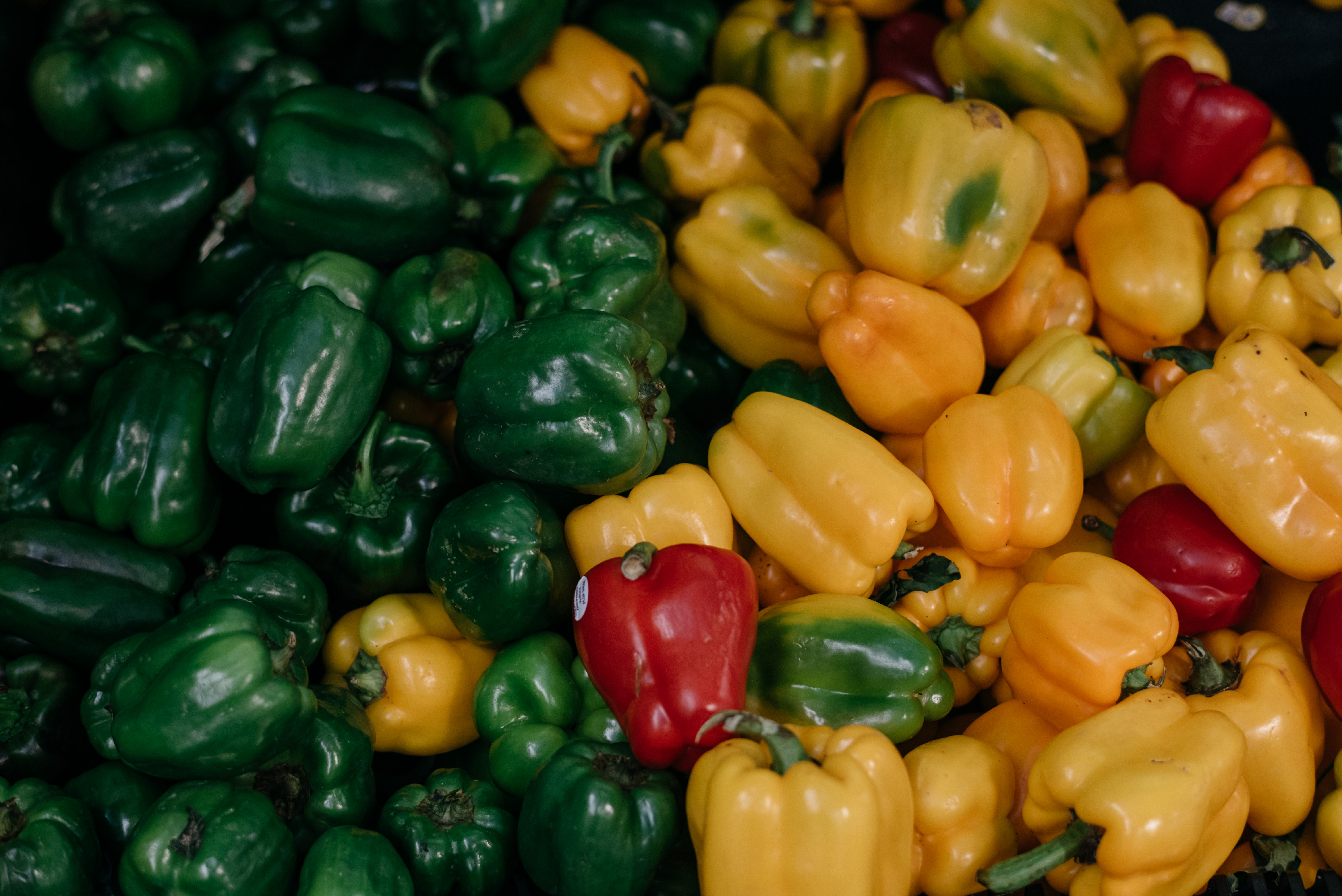 Uploaded Image: /vs-uploads/earth-day/AF Bell Peppers Yellow Green Red.jpg